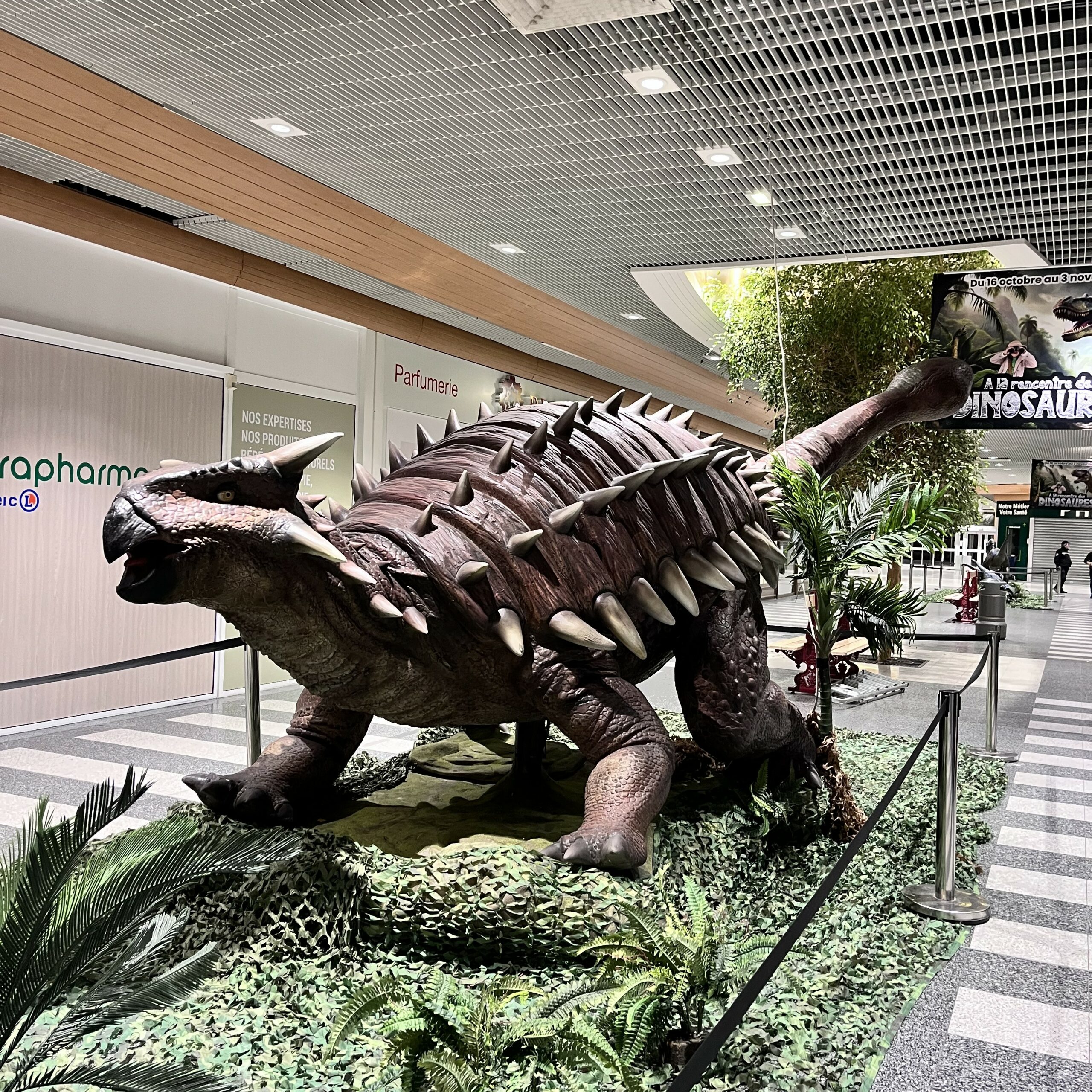 Exposition de dinosaures - Animation Centre Commercial Médicis